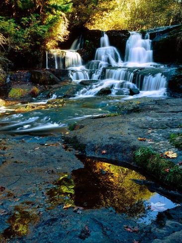 Photographic Print: Scenic view of waterfall, Alsea Falls, South Fork Alsea River, Benton County, Central Coast Rang. : 32x24in