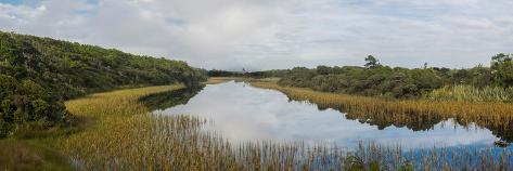 Photographic Print: Wetlands at Ship Creek Park, Haast, Westland District, West Coast, South Island, New Zealand: 36x12in