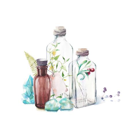 Art Print: Watercolor Glass Bottles, Sprouts of Plants, Fern Leaf, Berries and Gem Stones by Eisfrei: 12x12in