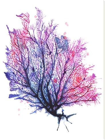 Stretched Canvas Print: Sea Fan Purple by Sam Nagel: 48x36in