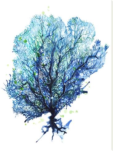 Stretched Canvas Print: Sea Fan Aqua by Sam Nagel: 48x36in