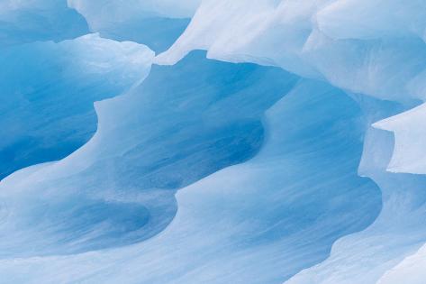 Premium Photographic Print: Icebergs drifting in the fjords of southern Greenland, Denmark by Martin Zwick: 36x24in