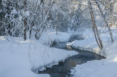 Premium Photographic Print: USA, Alaska, Fairbanks. Chena River in winter. by Jaynes Gallery: 36x24in