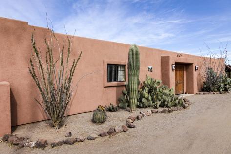 Premium Photographic Print: Cactus outside an adobe building, Tucson, Arizona, Usa. by Julien McRoberts: 36x24in