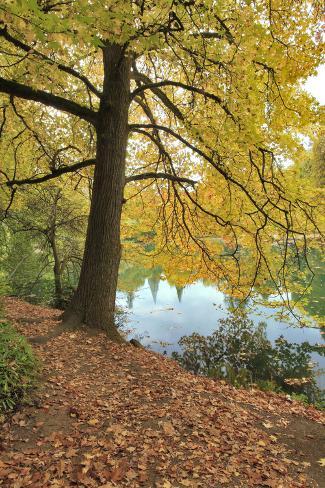 Premium Photographic Print: Usa, Oregon, Portland. Pond at Laurelhurst Park. by Jaynes Gallery: 36x24in