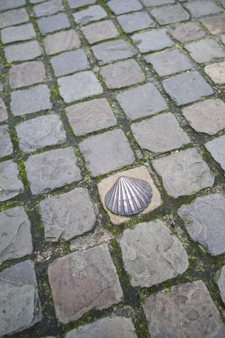 Premium Photographic Print: Belgium, Bruges. Bronze seashell marking of the Camino de Santiago. by Walter Bibikow: 36x24in