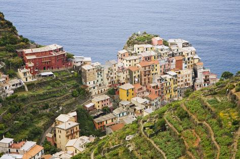 Premium Photographic Print: Italy, Manarola. Overview of town. by Jaynes Gallery: 36x24in