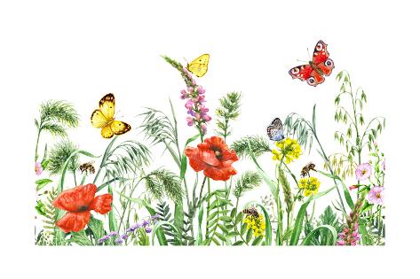 Art Print: Floral Horizontal Seamless Border with Watercolor Wildflowers, Red Poppies, Bees and Butterflies. S by Val Iva: 24x16in