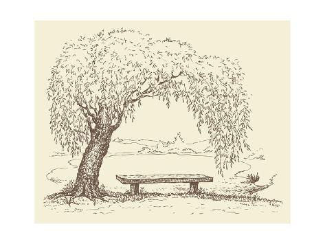 Art Print: Vector Illustration. Landscape Sketch of the Village Form of the Old Wooden Bench under a Willow Tr by ArtMari: 24x18in