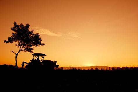 Photographic Print: Silhouette Farmers Drive Tractors the Fields in the Morning by Sunti: 24x16in