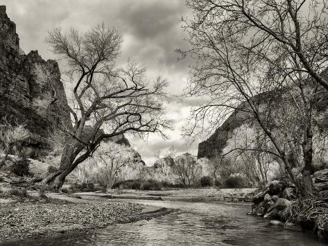 Photographic Print: USA, Utah. Zion National Park, Virgin River and Cottonwoods in winter tinted monochrome by Ann Collins: 32x24in