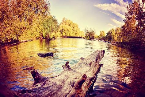 Photographic Print: A River Flowing in Autumn Long Exposure Done with a Retro Vintage Instagram Filter Effect by graphicphoto: 24x16in