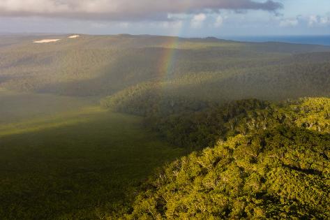 Photographic Print: Aerial photograph of a rainbow & giant sand dunes, Great Sandy National Park, Australia by Mark A Johnson: 36x24in