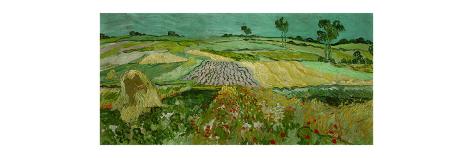 Giclee Print: La plaine d'Auvers. Oil (June 1890) 50 x 101 cm. by Vincent van Gogh: 24x8in