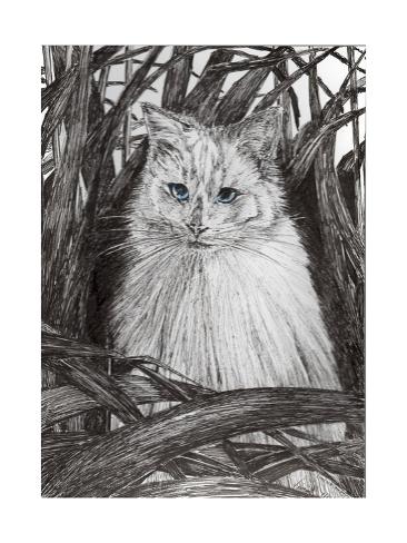 Giclee Print: Jungle Monty, 2015 by Vincent Alexander Booth: 24x18in