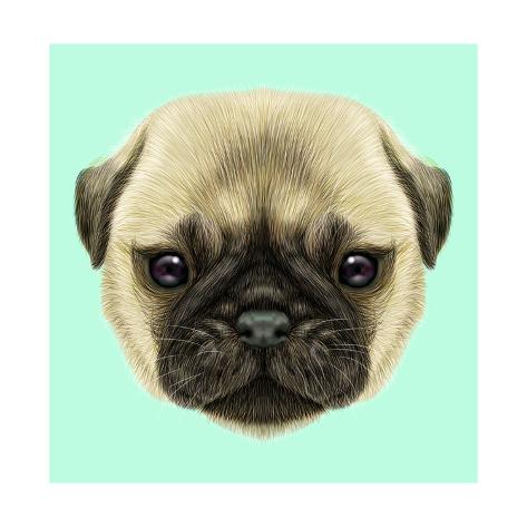 Art Print: Illustrated Portrait of Pug Puppy. Cute Fluffy Fawn Face of Domestic Dog on Blue Background. by ant art: 12x12in