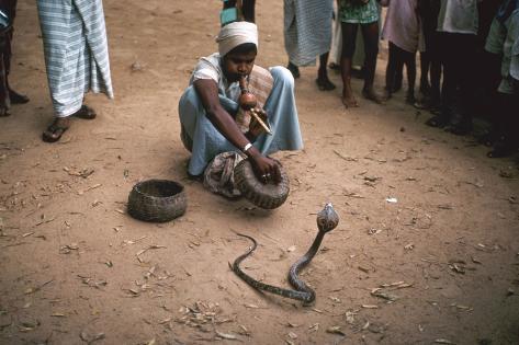 Photographic Print: Snake charmer with cobra, in Sri Lanka. Artist: Unknown: 12x8in