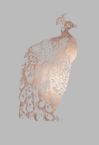 Art Print: Rose Gold Foil Peacock II on Grey by Grace Popp: 38x25in