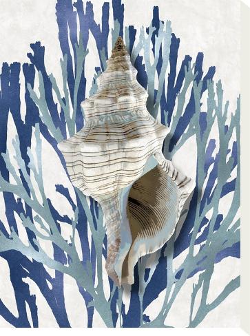 Stretched Canvas Print: Shell Coral Aqua Blue III by Caroline Kelly: 16x12in