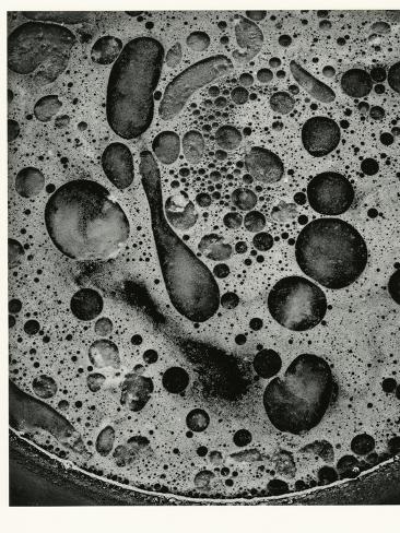 Photographic Print: Pan Grease, California, 1976 by Brett Weston: 12x9in