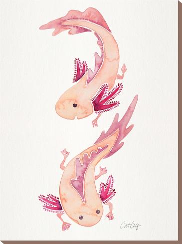 Stretched Canvas Print: Axolotls by Cat Coquillette: 32x24in