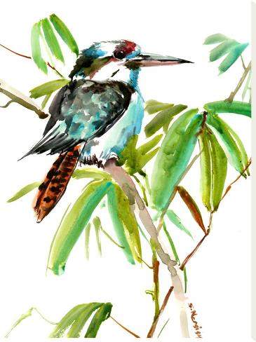 Stretched Canvas Print: Kingfisher 1 by Suren Nersisyan: 40x30in