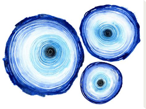 Stretched Canvas Print: Tree Ring Trio Indigo by Sam Nagel: 24x32in