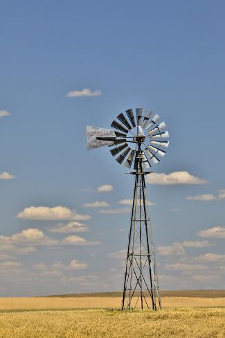 Photographic Print: Windmill in wheat field Eastern Washington by Darrell Gulin: 12x8in