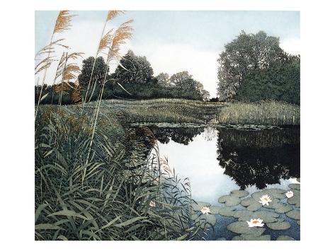 Giclee Print: Wicken Fen by Phil Greenwood: 12x9in