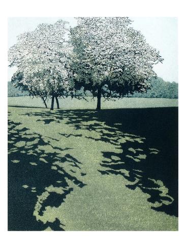 Giclee Print: Dawn Shade by Phil Greenwood: 12x9in