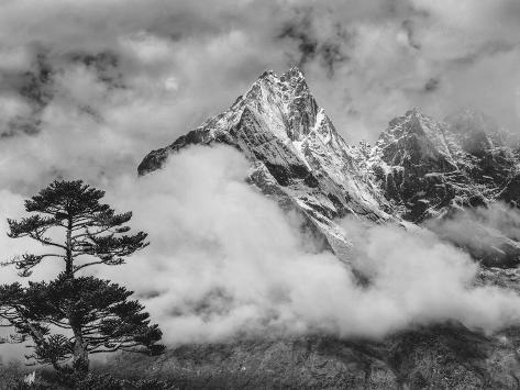 Photographic Print: Nepal, Himalayas Mountain and Tree by John Ford: 12x9in