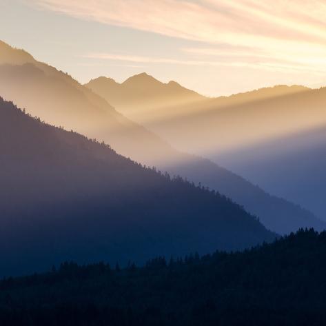Photographic Print: USA, Washington State, Seabeck. Sunset in the Olympic National Forest. by Jaynes Gallery: 16x16in