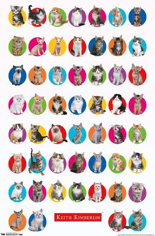 Poster: Keith Kimberlin - Kitten Grid: 34x22in