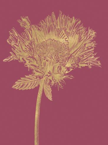 Art Print: Floral Luxe - Grow by Lucy Francis: 24x18in