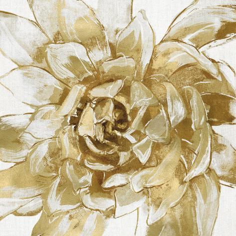 Giclee Print: Cereus Aeonium - Bronze by Tania Bello: 20x20in