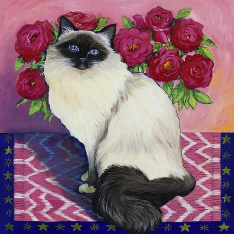 Giclee Print: Burmese Cat, Series II by Isy Ochoa: 16x16in
