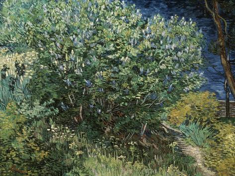 Giclee Print: Lilac Bush by Vincent van Gogh: 12x9in