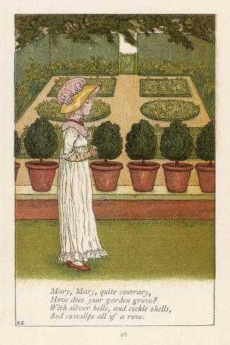 Photographic Print: Mary Mary Quite Contrary How Does Your Garden Grow? by Kate Greenaway: 12x8in