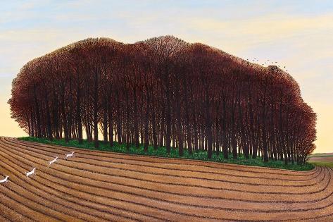 Giclee Print: Dorset Clump of Trees, 2012 by Liz Wright: 18x12in