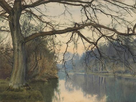 Giclee Print: A Great Tree on a Riverbank, 1892 (Pencil, Pen and Black Ink and W/C on Paper) by William Fraser Garden: 12x9in