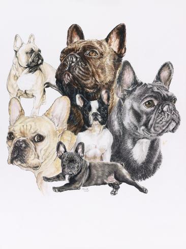 Giclee Print: French Bulldog by Barbara Keith: 12x9in