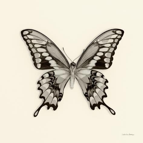 Art Print: Butterfly VI BW Crop by Debra Van Swearingen: 12x12in