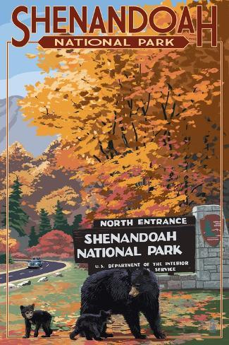Art Print: Shenandoah National Park, Virginia - Black Bear and Cubs at Entrance by Lantern Press: 18x12in