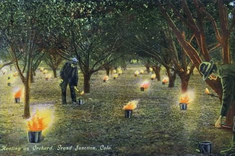 Art Print: Grand Junction, Colorado - Farmers Lighting Fires to Heat an Orchard, c.1914 by Lantern Press: 18x12in