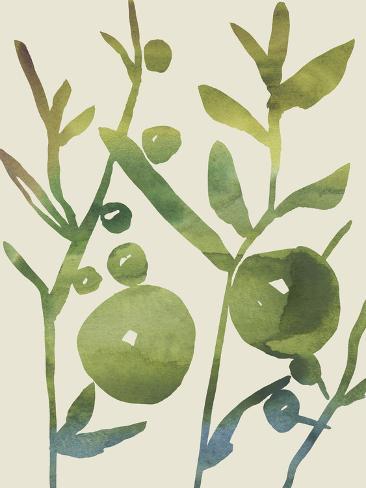 Art Print: Spring Sprig I by Chariklia Zarris: 12x9in