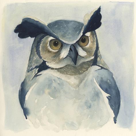 Art Print: Midnight Aves I by Grace Popp: 12x12in