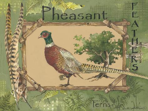 Art Print: Pheasant by Anita Phillips: 12x9in