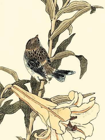 Art Print: Oriental Bird on Branch II by Vision Studio: 12x9in