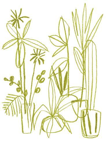 Giclee Print: Naive Plants - Thrive by Kristine Hegre: 40x30in
