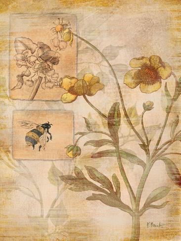 Art Print: Flora Bumble Bee by Paul Brent: 12x9in